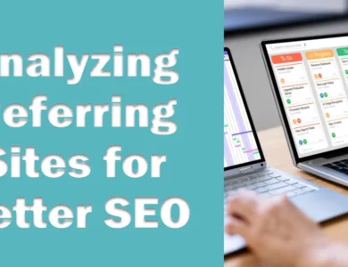 Processing and Analysis of Referring Sites in SEO Strategy