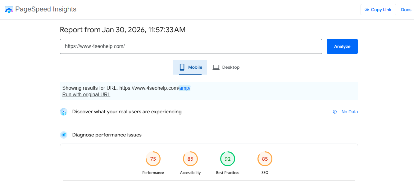 PageSpeed Insights - 4 SEO Help